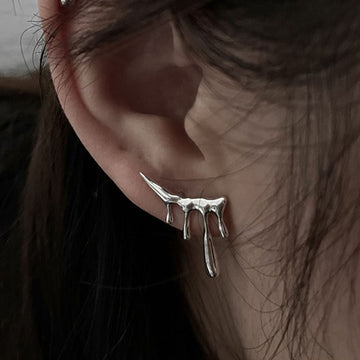 Luxe Shine Earrings